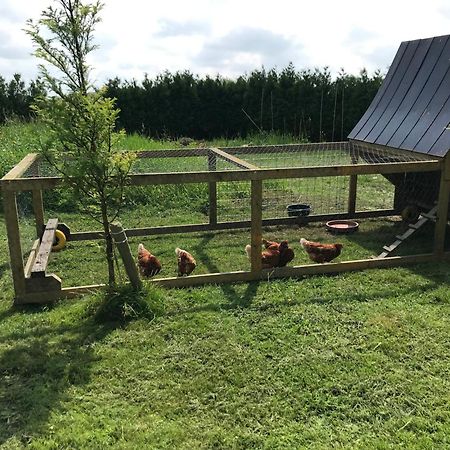 Ferienwohnung Landgoed Swaensborgh Oudesluis  Exterior foto