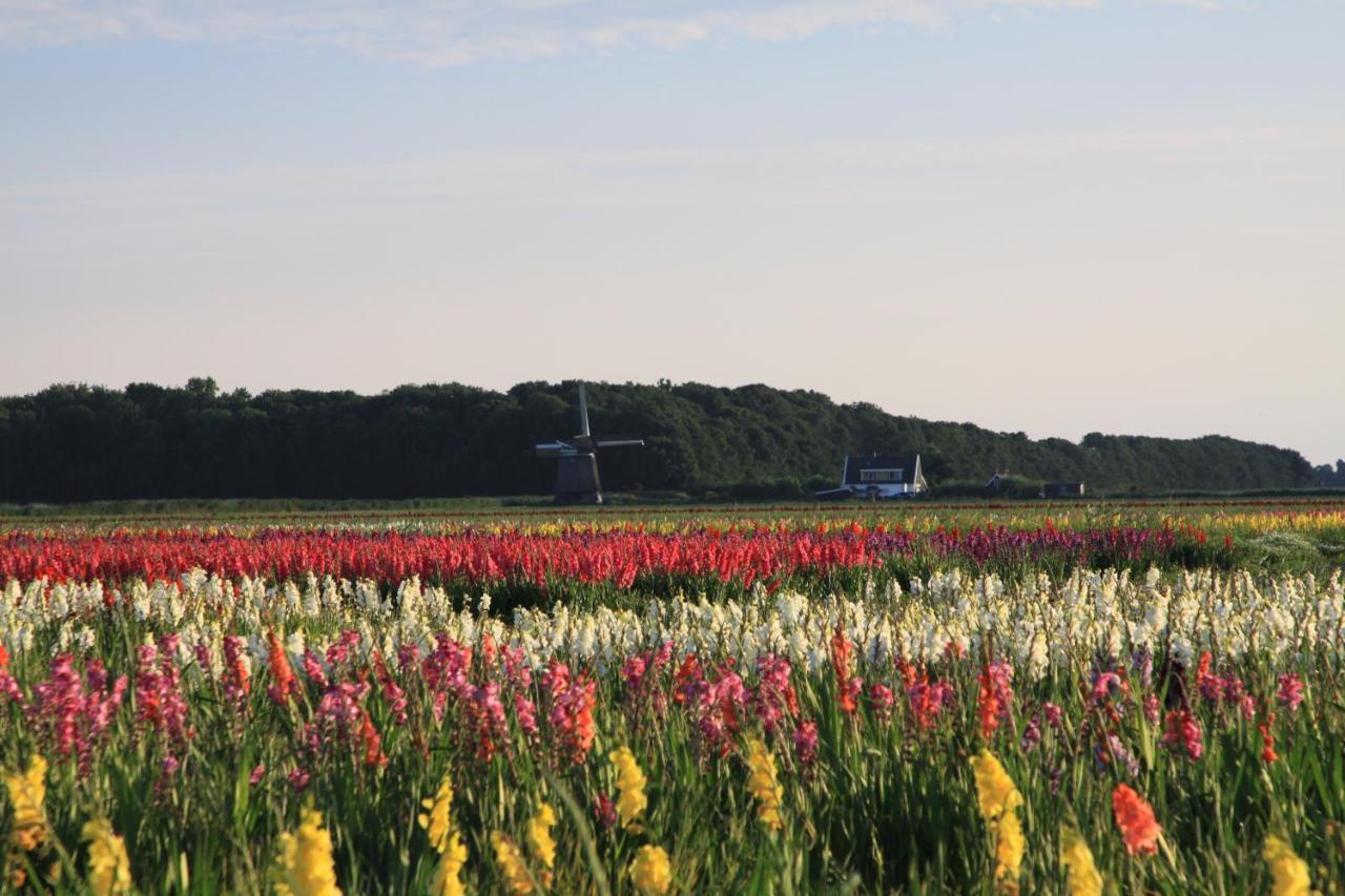 Ferienwohnung Landgoed Swaensborgh Oudesluis  Exterior foto
