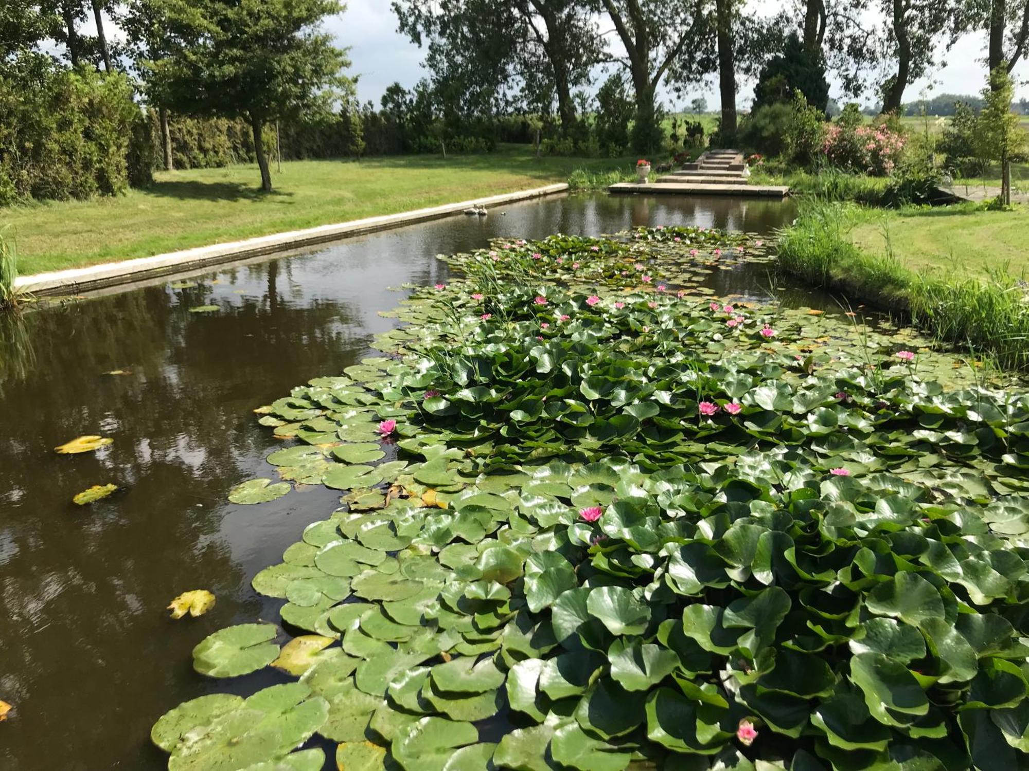 Ferienwohnung Landgoed Swaensborgh Oudesluis  Exterior foto